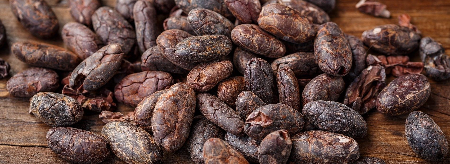 cacao-bean-2522918_1920